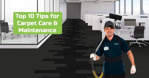 Top 10 Tips for Carpet Care & Maintenance