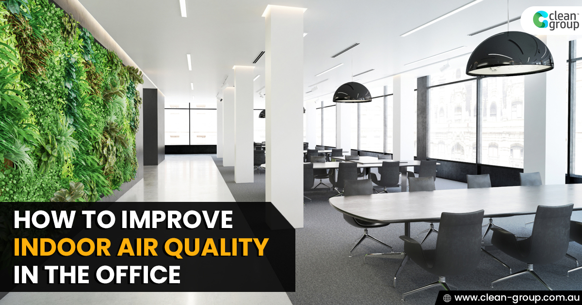 How to Improve Indoor Air Quality in the Office