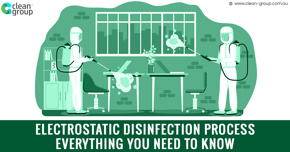 Electrostatic Disinfection Process