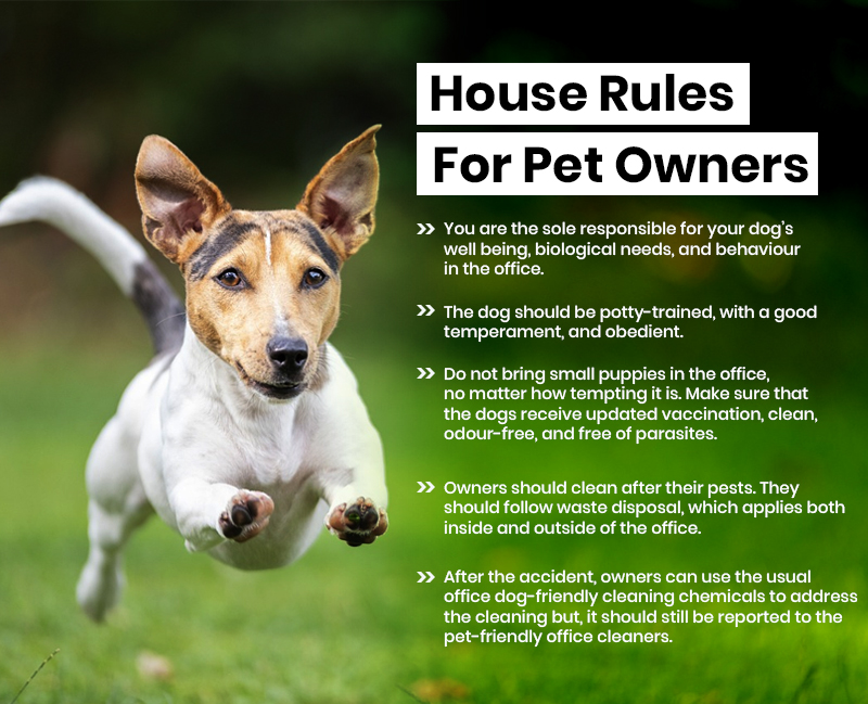 House Rules for Pet Owners