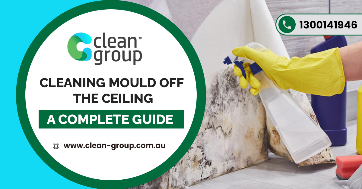 Cleaning Mould off the Ceiling – A Complete Guide