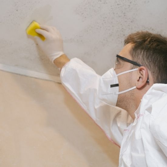 Cleaning Mould